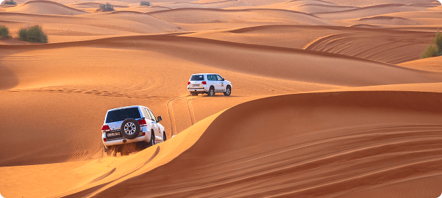 Bangkok skyline night
